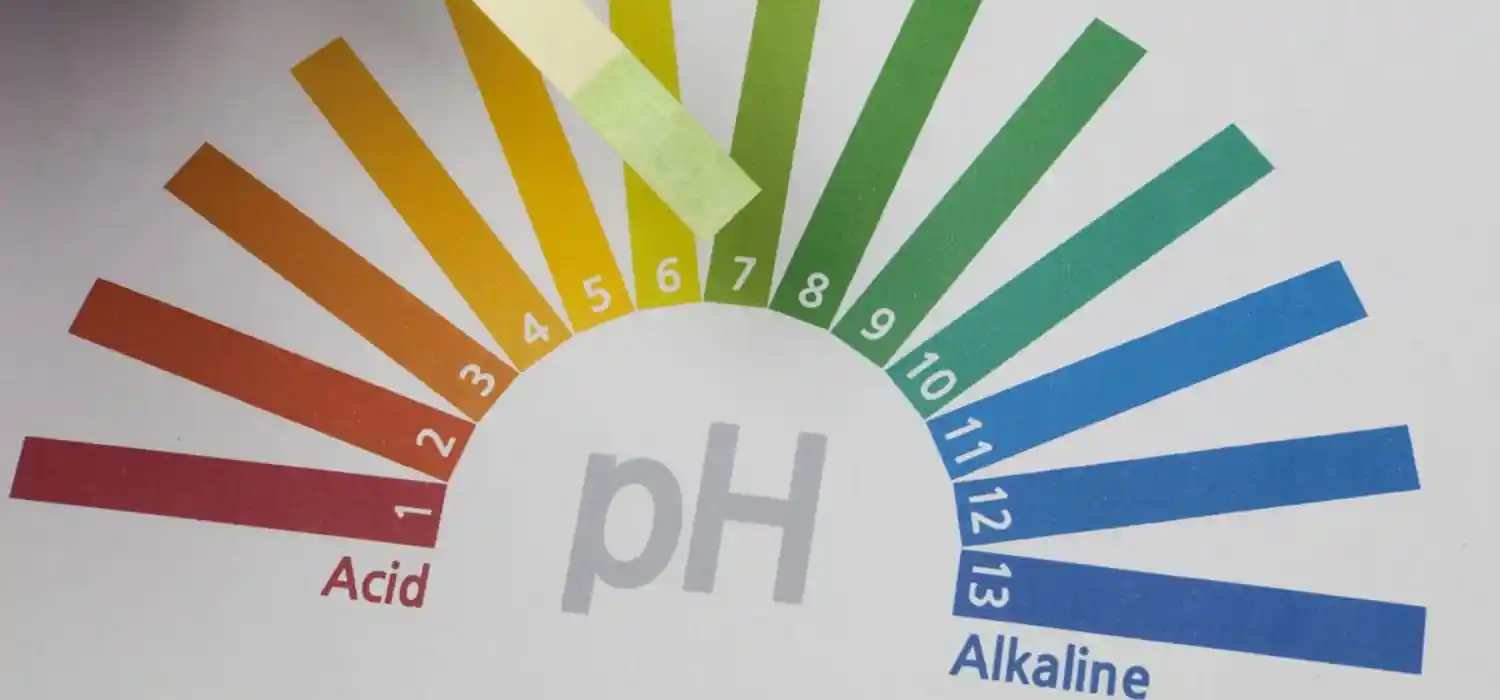 Alkalis & Bases